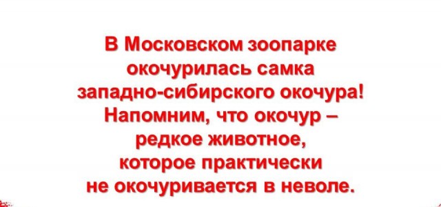 Так себе картинки 25.03.25