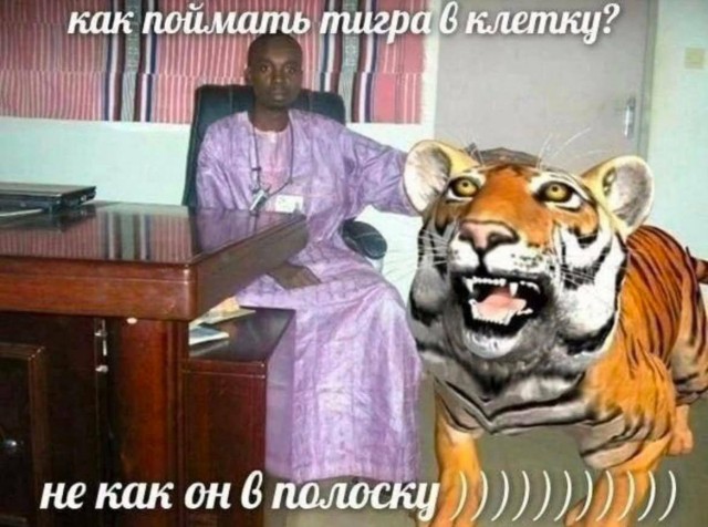 Весёлый полтишок 04.06.2025