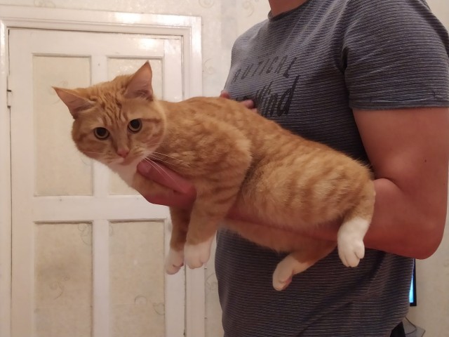 Из грязи....