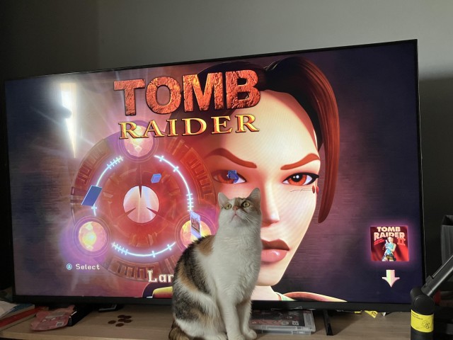 Мужчина поймал любимую кошку через год после пропажи, она в тот же день вспомнила его, дом и свои игрушки