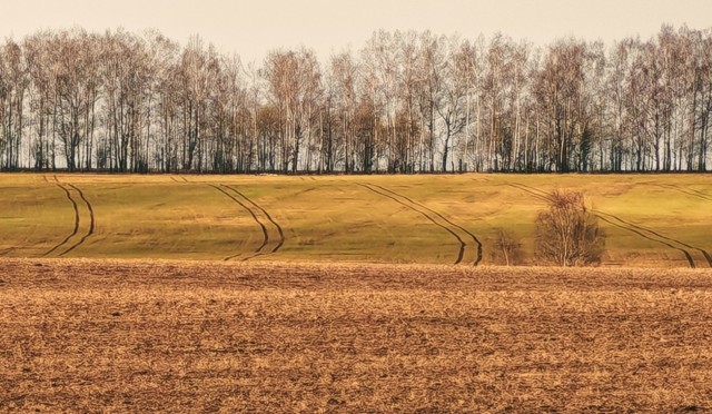 Трактор.