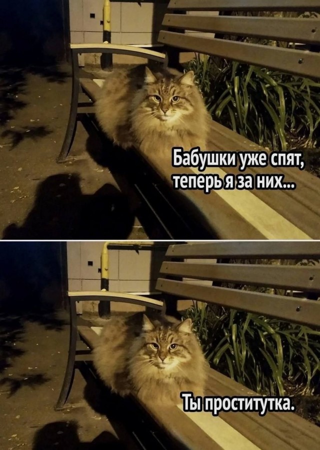 Шутка