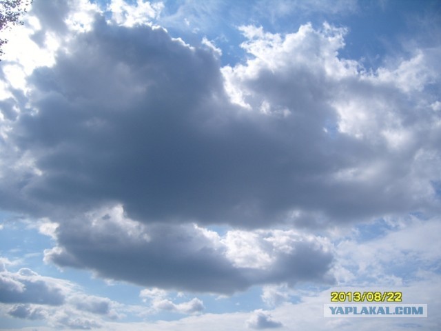 Поехали за грибами, приехали с карасями.