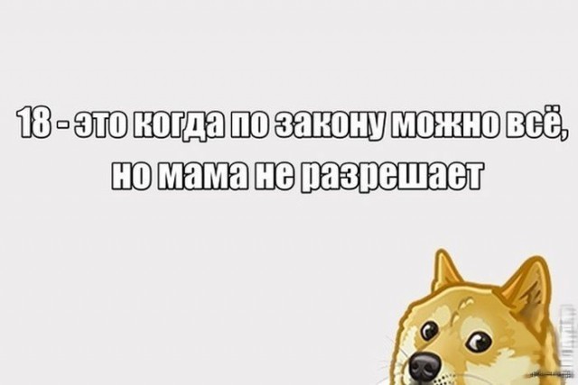 Так...солянка