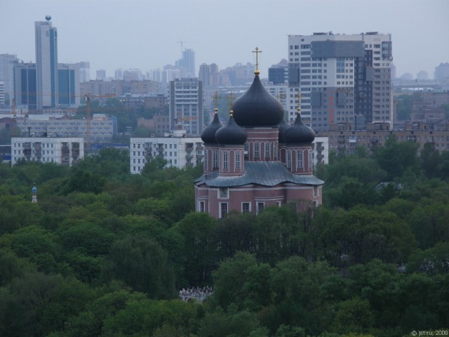 Когда деревья были большими