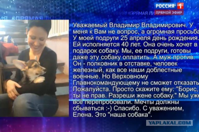«Прямая линия» с Владимиром Путиным