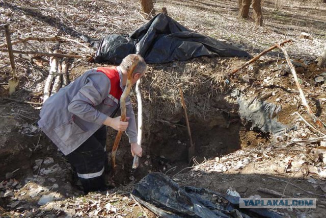 Апрельская рыбалка на Ахтубе