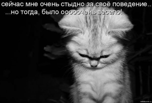 А поутру они проснулись...