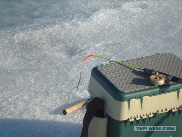 Рыбалка: закрытие зимнего сезона