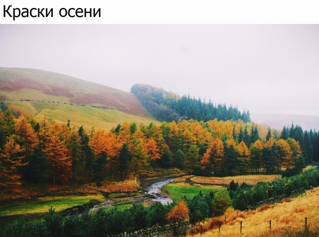 Картинки всякие