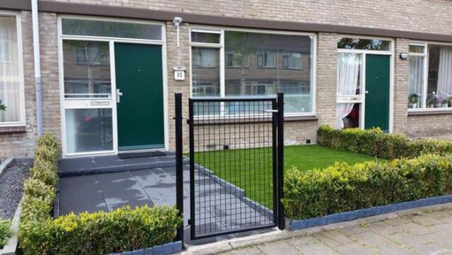 Подборка безудержного веселья