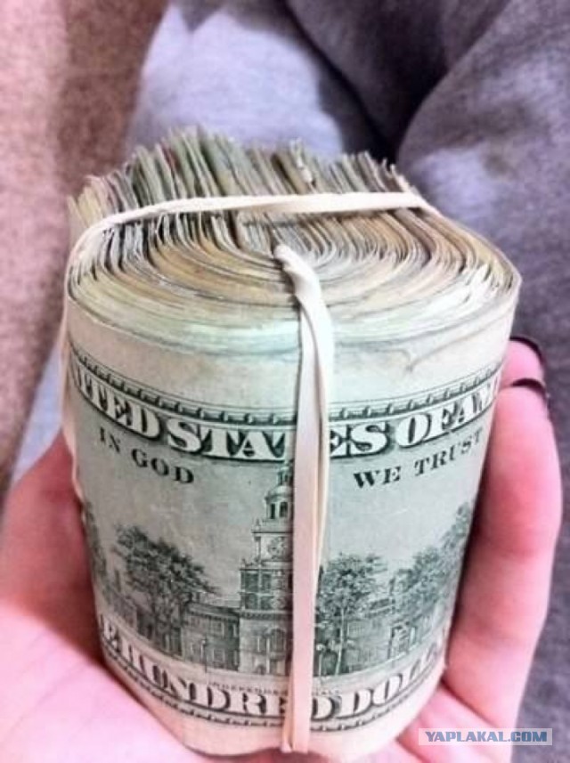 Почему сомы считаются аллигаторами российских рек