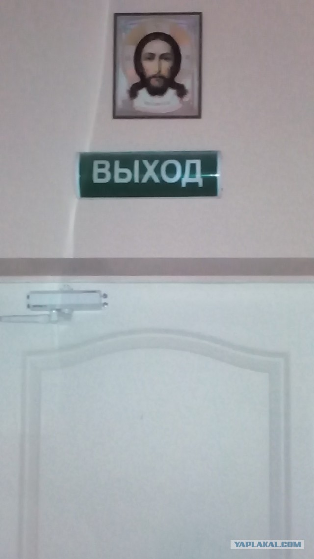 Таблички в нашей детской поликлинике