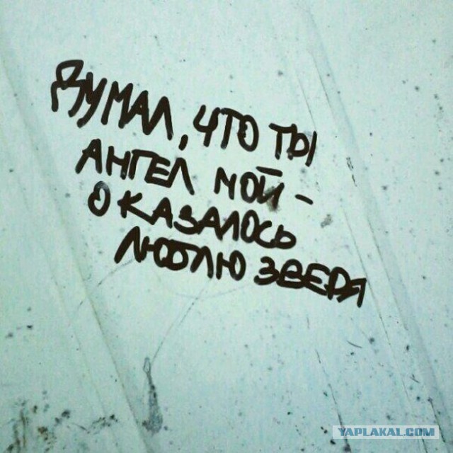 «Бродячие» философы: 17 глубокомысленных заметок в транспорте и на улицах