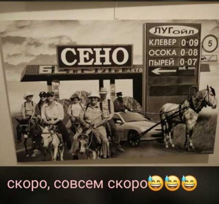 Почему мой транспортный налог идёт на дороги Чечни, которая ничего не платит