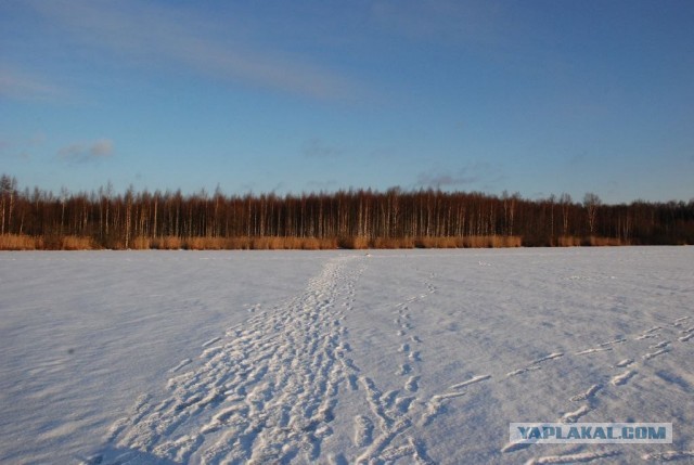 Одиночество в своей семье