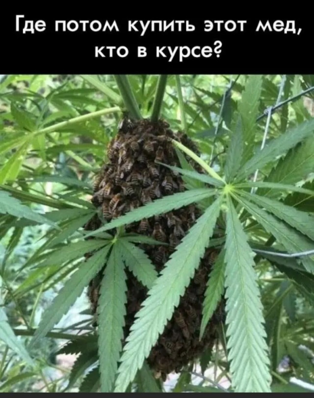 Отовсюду обо всем