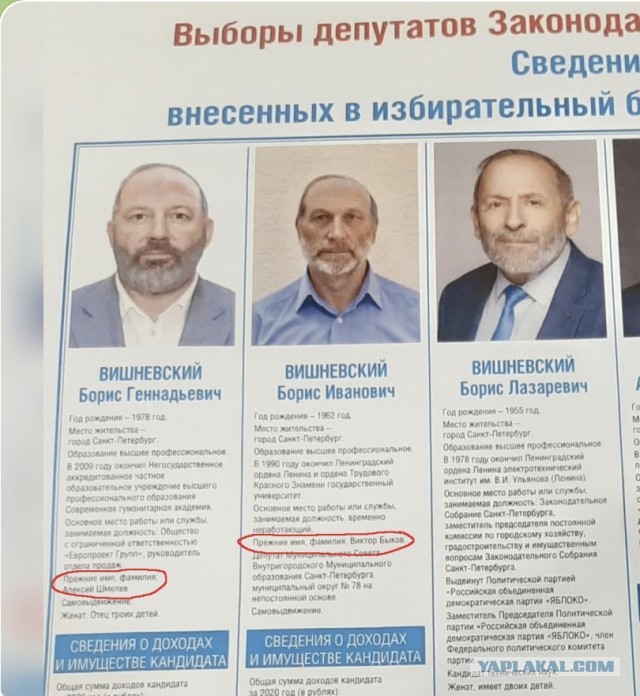 Выборы в Петербурге - «Двойники» Бориса Вишневского на выборах получили одинаковую внешность
