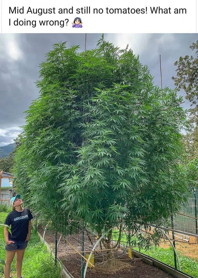 Весёлый полтишок 26.09