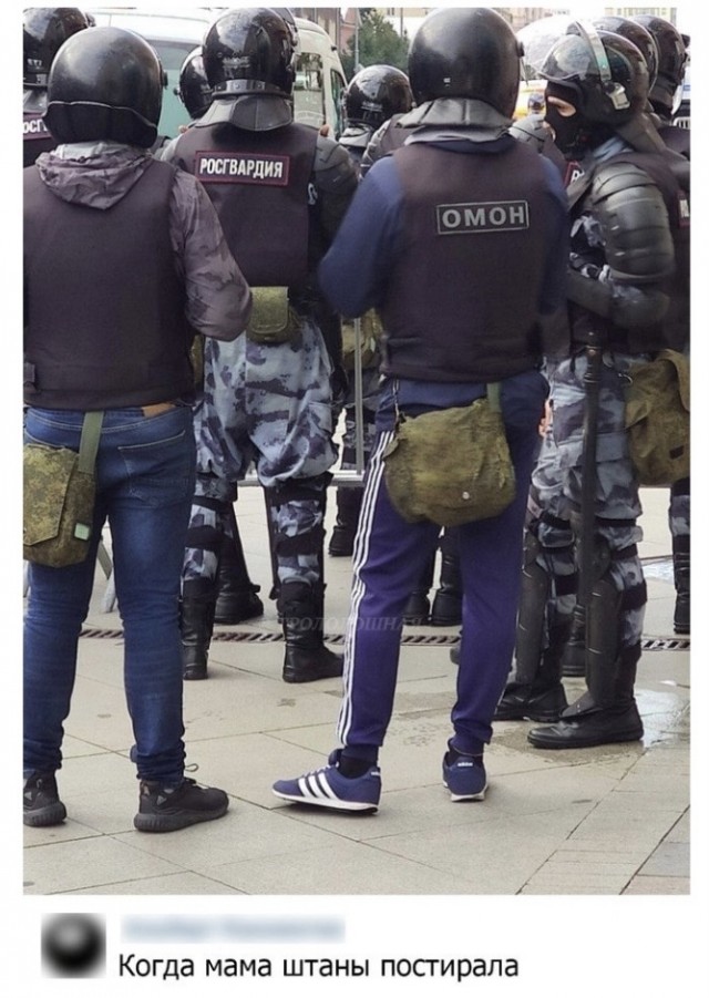 Всяческие картинки 22.11.2021