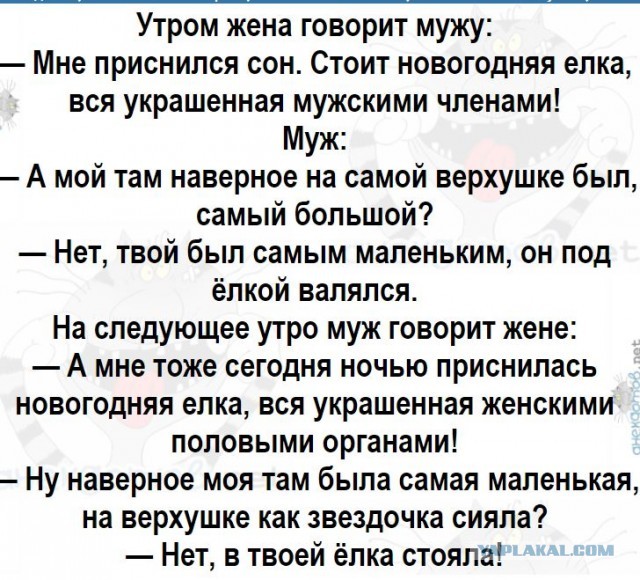 Картинки 12.02.22