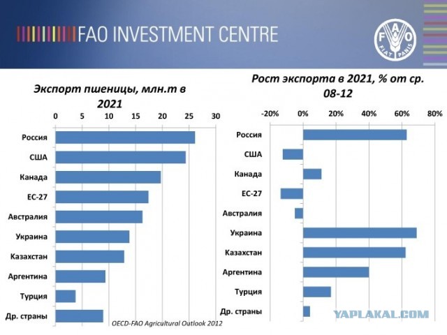 В России предложили до осени ограничить экспорт зерна и сахара