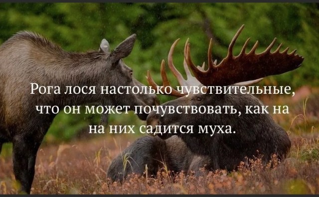 70 удивительных фактов