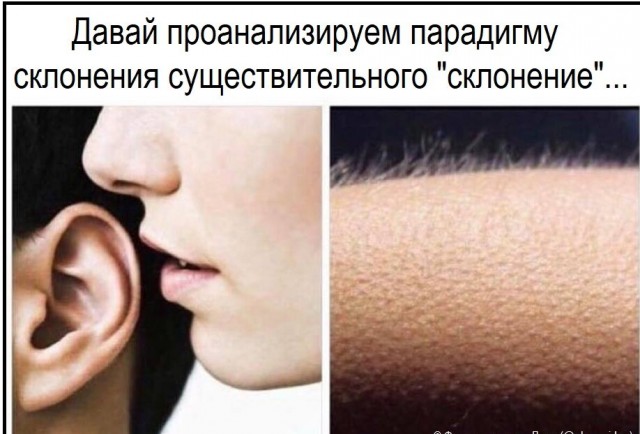 Так себе картинки 02.06.22