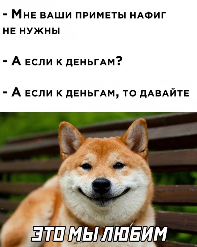 Весёлый полтишок 14.06.22