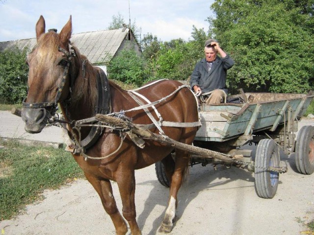 Вам с «Мерседесом» только на разборку! Петербург накрыло дефицитом запчастей на машины