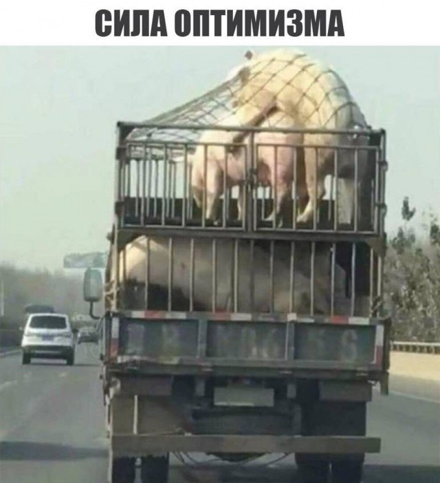 Немного мемчиков. Для взрослых. Часть 23