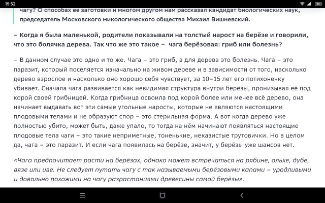 Чага березовая