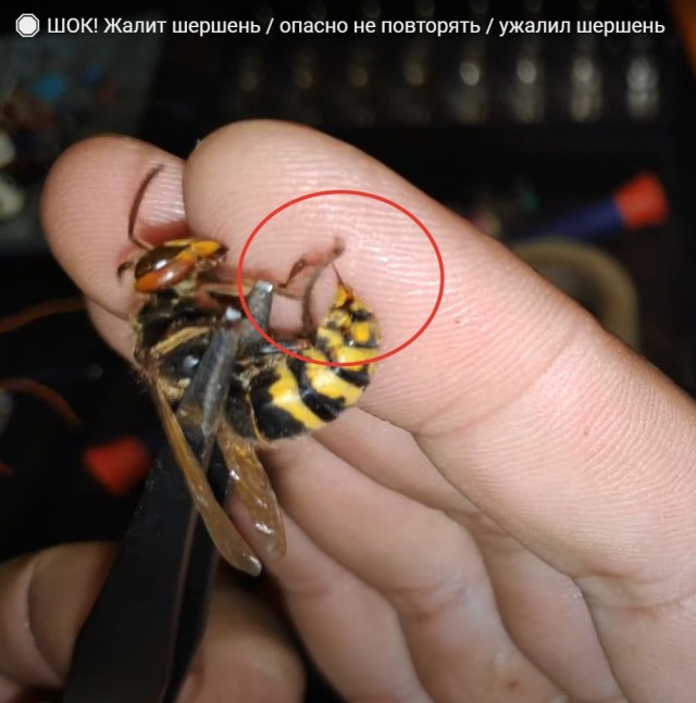 С огнём играет