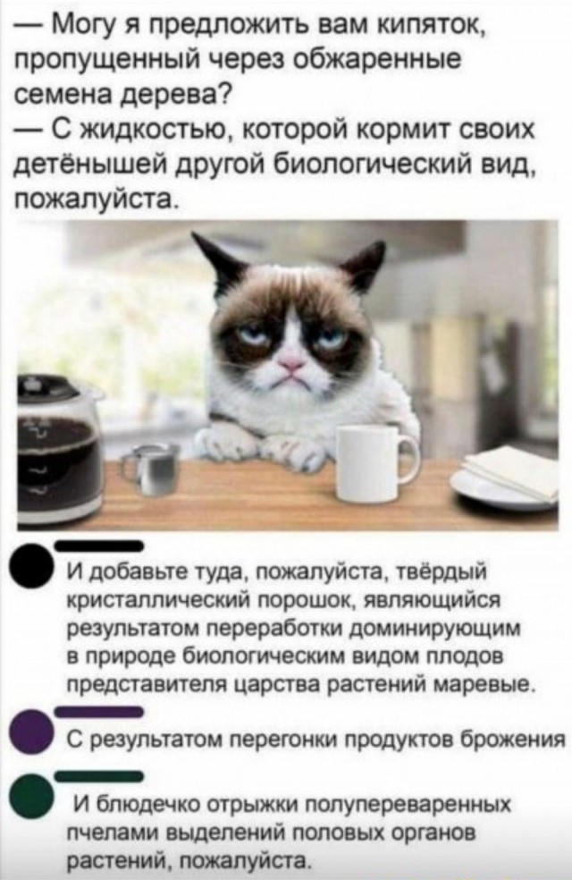 Всего понемногу 06.03
