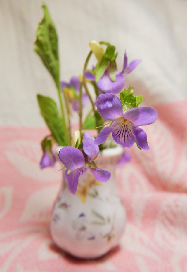 Природа Южного Урала