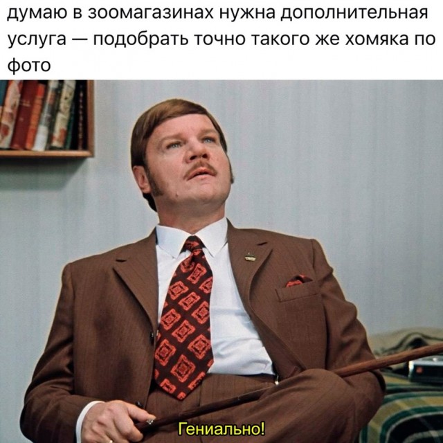 Весёлый полтишок 11.08.23