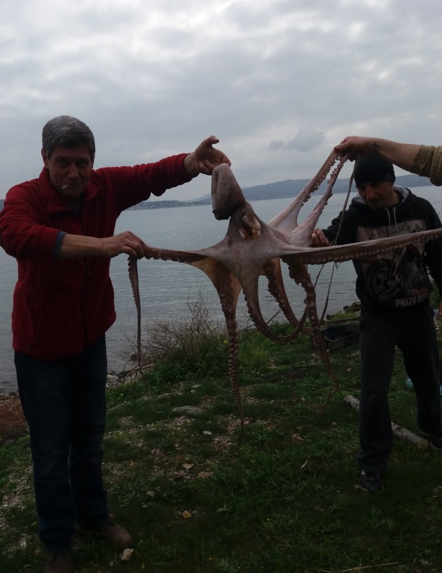 Очередная вылазка удалась