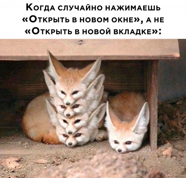 Так себе картинки 22.10.23