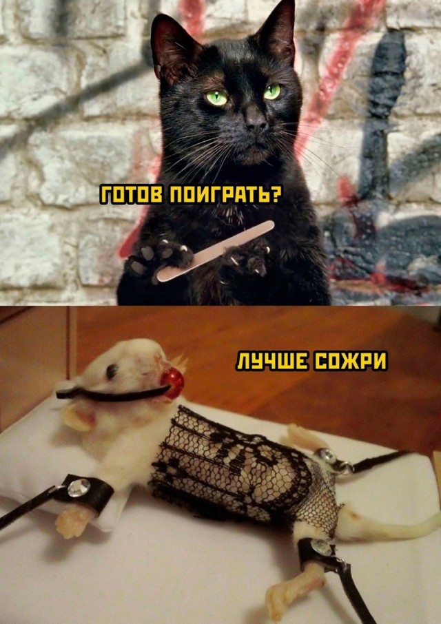 Народная меДИЧина 1014