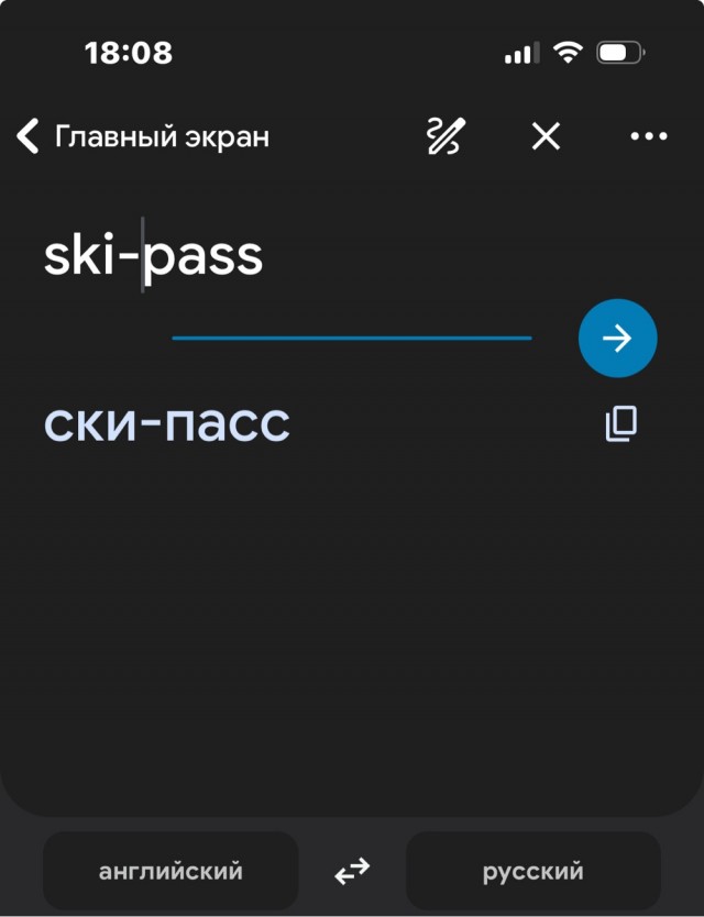 "Выкиньте её н* хуй, вся горнолыжка стоит!"