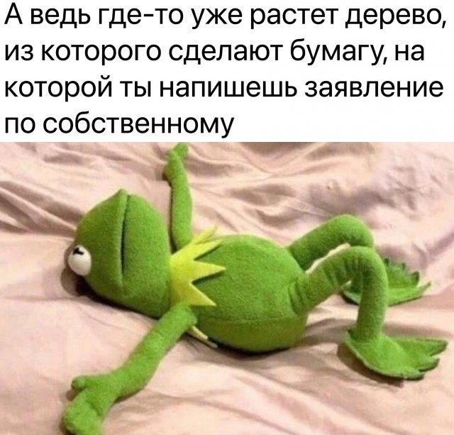 Так себе картинки 29.04.24