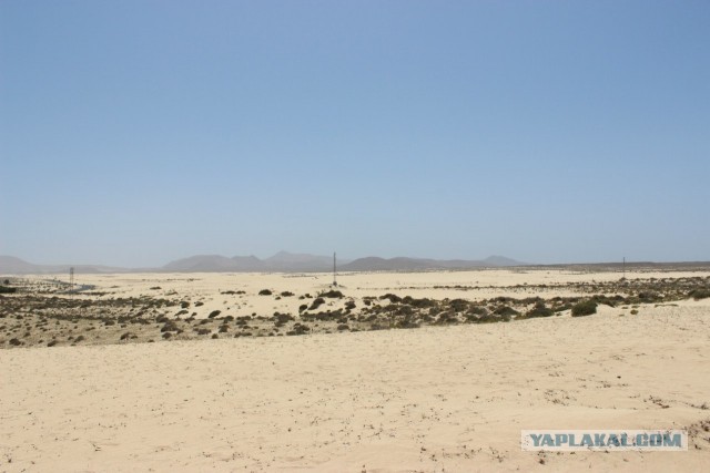 Хочу дачу на канарах!