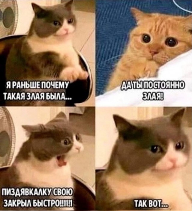 Никакие картинки и тексты