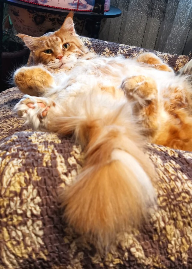 Жара...