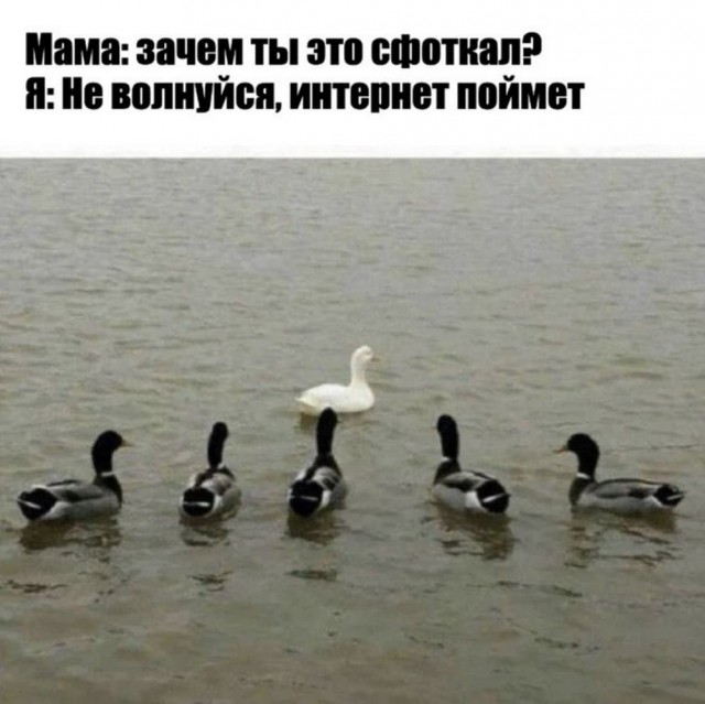 Веселые картики во вторник 29.10