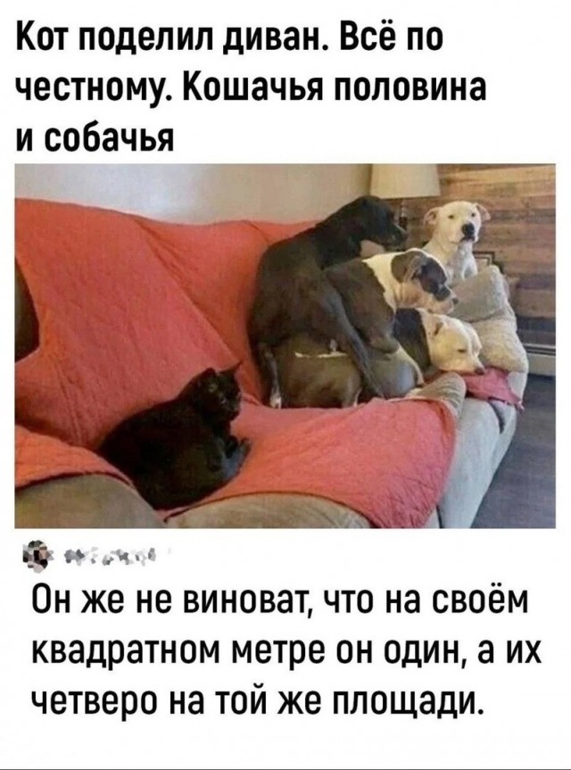 Завалялось тут случайно немного забавных картинок