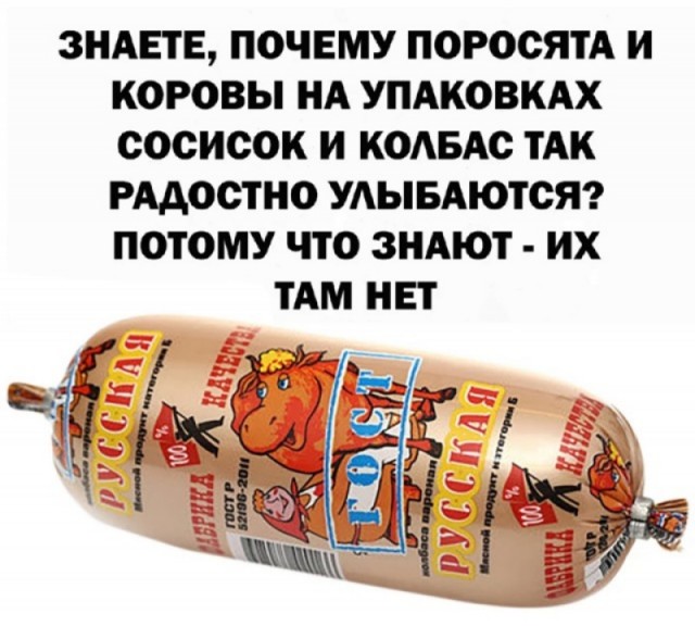 Баяны: август 2023 г - декабрь 2023 г