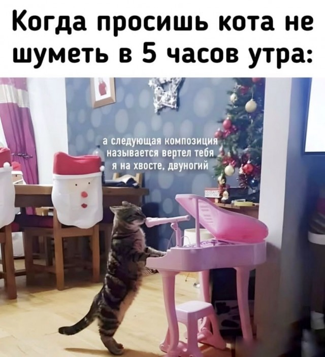 Завалялось тут случайно немного забавных картинок
