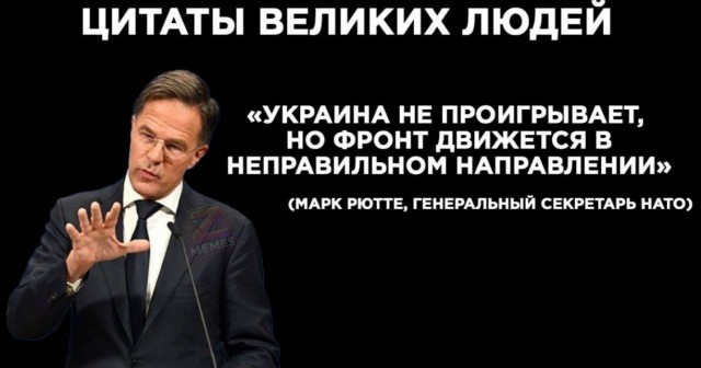 Ловите наркомана!