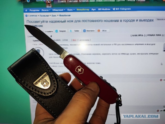 Посоветуйте надежный нож для постоянного ношения в городе и выездах на пикник